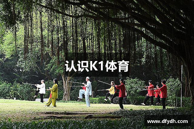 认识K1体育